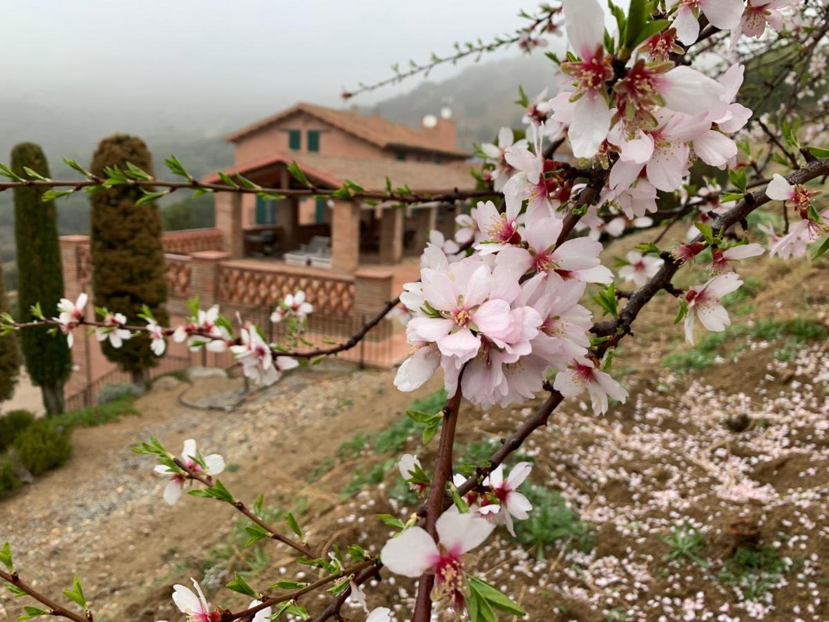 Can Ballus Bed&Breakfast Tiana Kültér fotó
